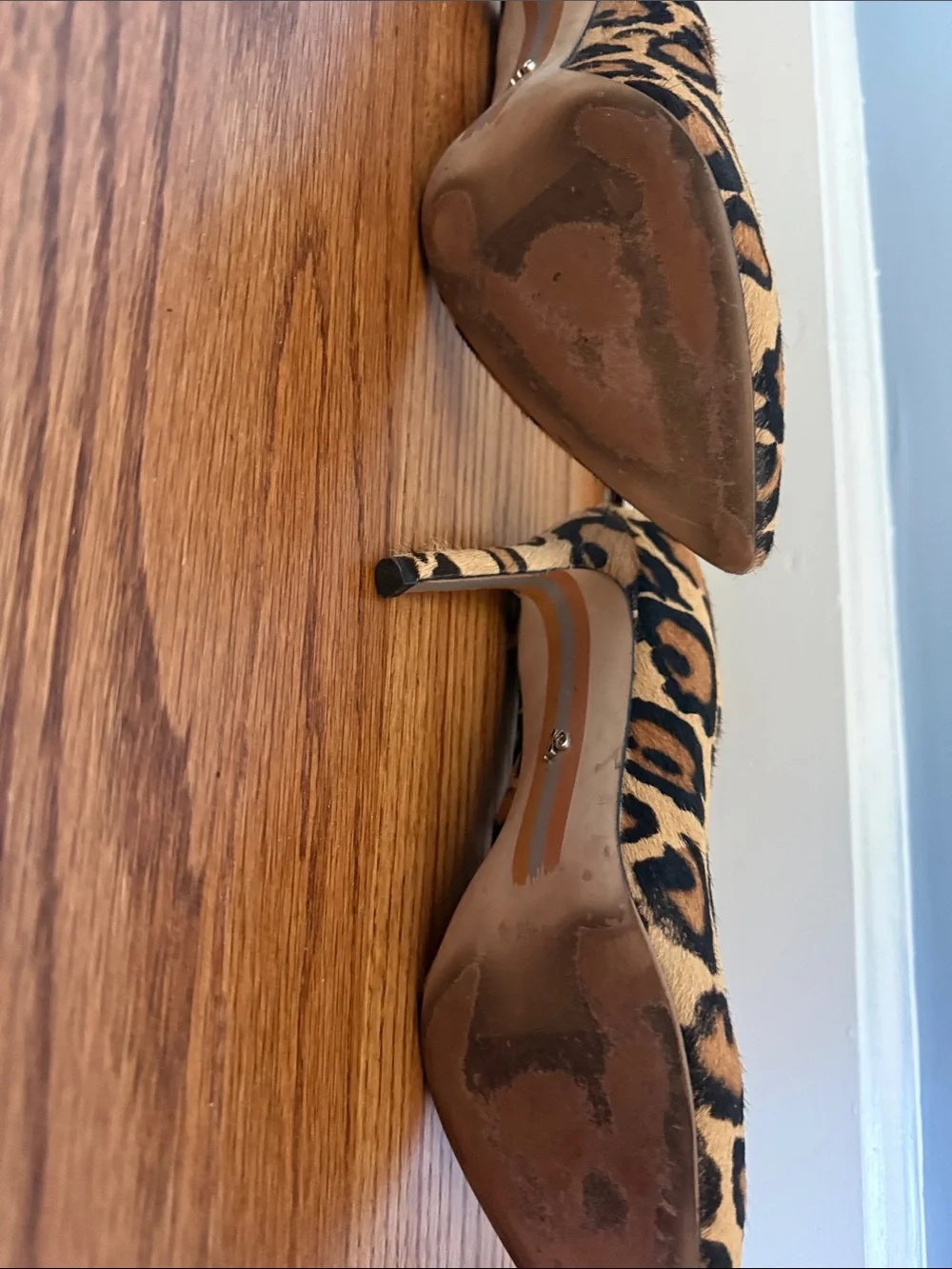 Sam Edelman Pointed Toe Pumps in Leopard, Hot Pink, Light Blue, Olive and Slate